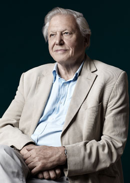 Portrait of Sir David Attenborough by Francis Hills