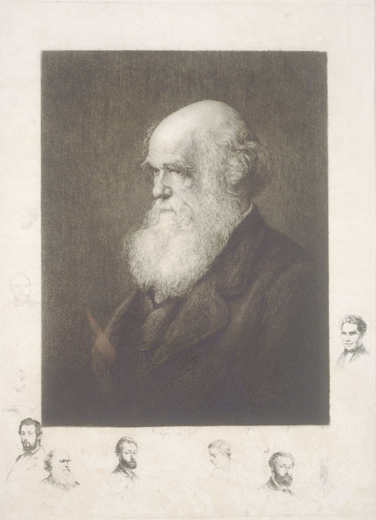 Paul Adolphe Rajon, "Charles Darwin", c.1875. Copyright Dundee Art Galleries and Museums Collection (Dundee City Council).
