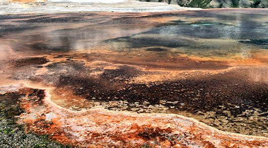 An image of the Upper Geyser Basin region in Yellowstone National Park in Wyoming, USA. As the Sun heats up, much of the Earth will come to resemble this landscape. Credit: Jack O’Malley-James