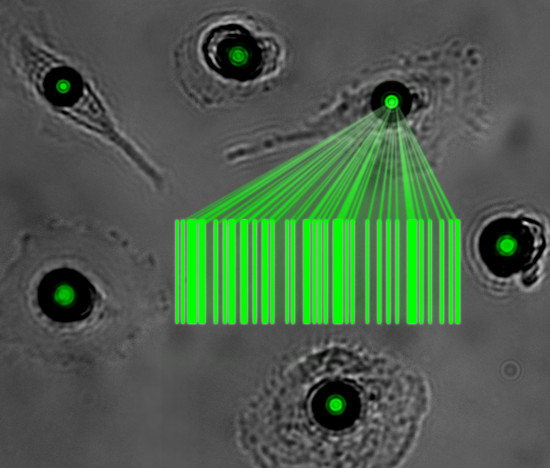 Artist’s impression of a group of cells which have been turned into tiny lasers