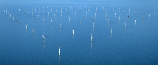 seals-windfarms-feature-2