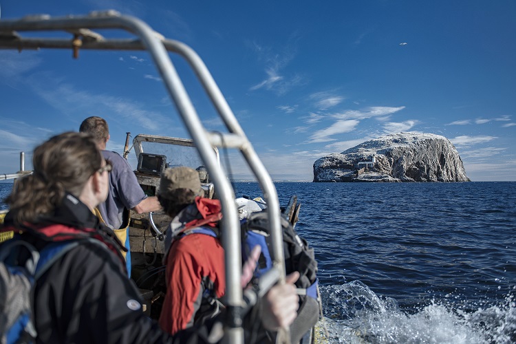 Researchers head to the Bass Rock