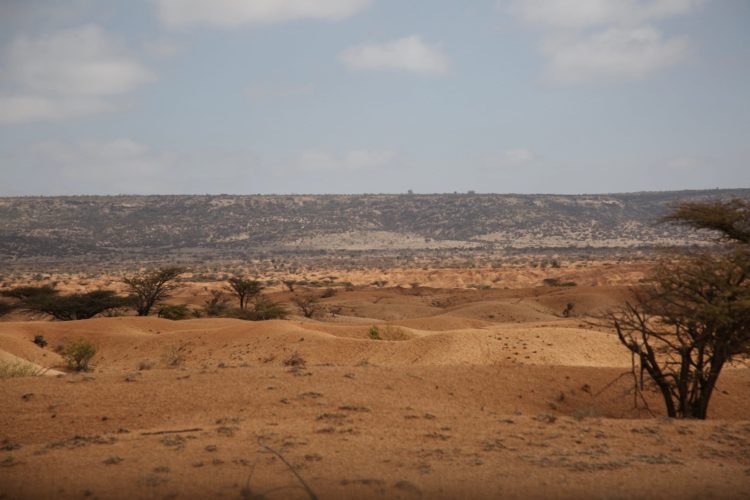 Scorched earth in Somaliland