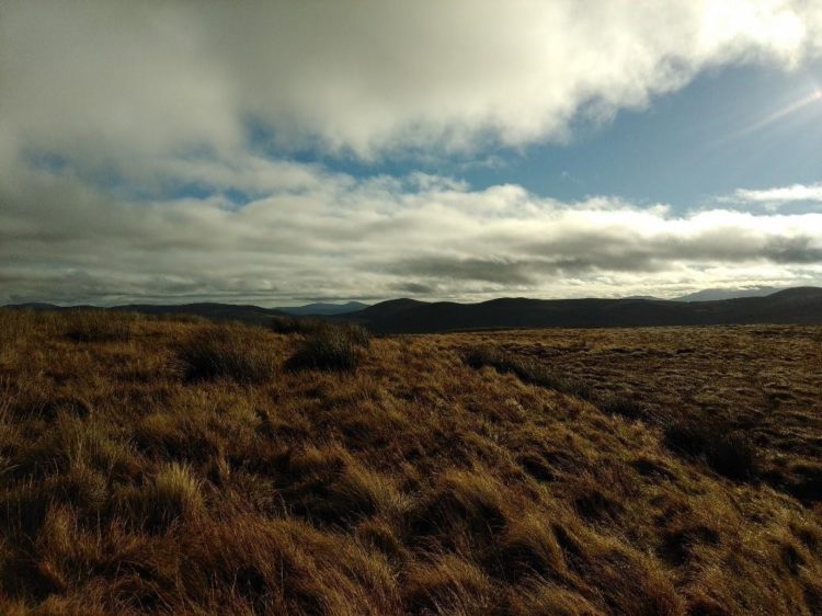 Terrestrial landscape in the Scottish Highlands