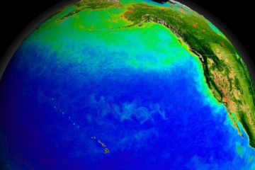 Warm oceans helped first human migration