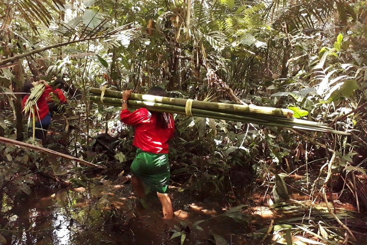 Women carry palm shoots through swampland