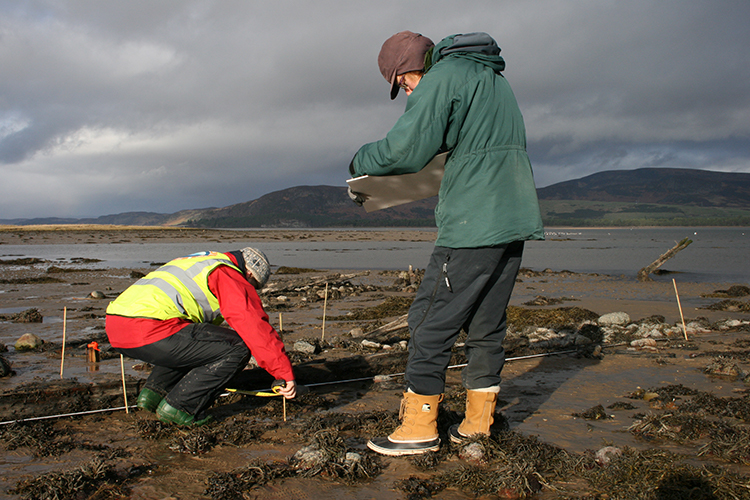 Volunteers surveying the Embo Wreck