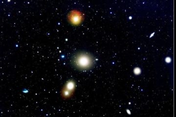 No dark matter halos in the dwarf galaxies of one of Earth's nearest clusters