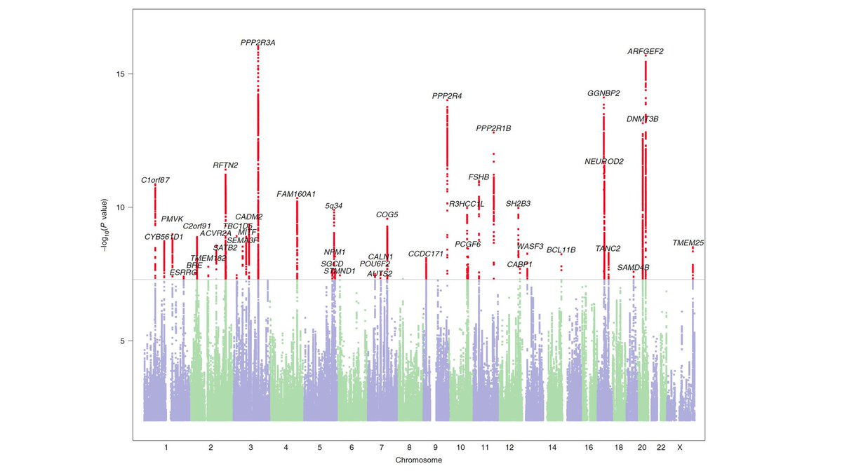 Fig. 1: Manhattan plot of the genome-wide association analysis of dyslexia
