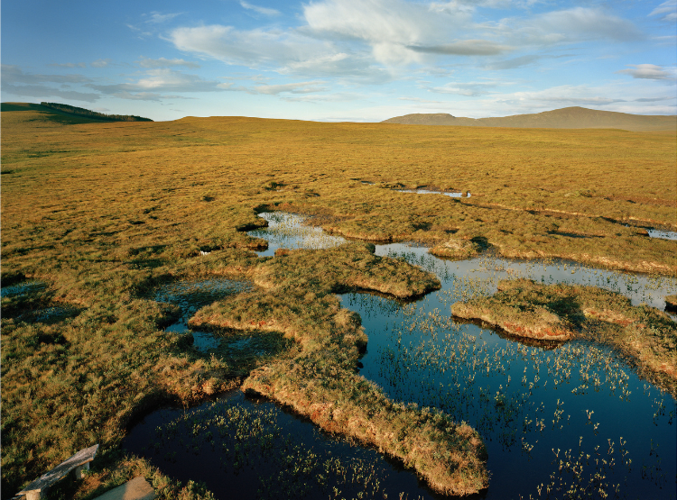 Peatlands in Sutherland, with blue sky behind, and water in the foreground