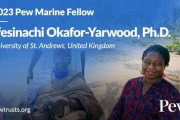 St Andrews lecturer awarded prestigious Fellowship in Marine Conservation
