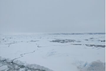 Antarctic bay named after Professor Andrew Brierley