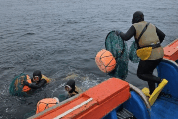 The last 'women of the sea'