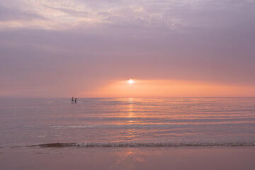 Ocean in coastal areas becoming more acidic than previously thought