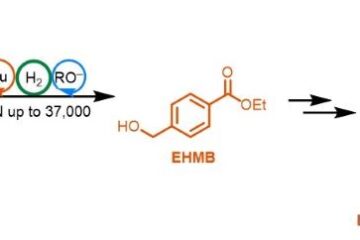 Groundbreaking discovery turns household plastic recycling into anti-cancer medication