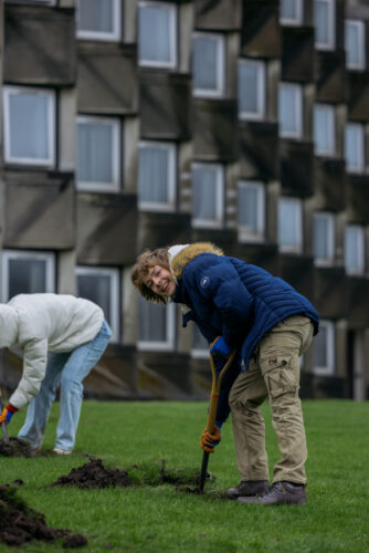 Student Alex Wiseman planting Sakura trees at Andrew Melville Hall