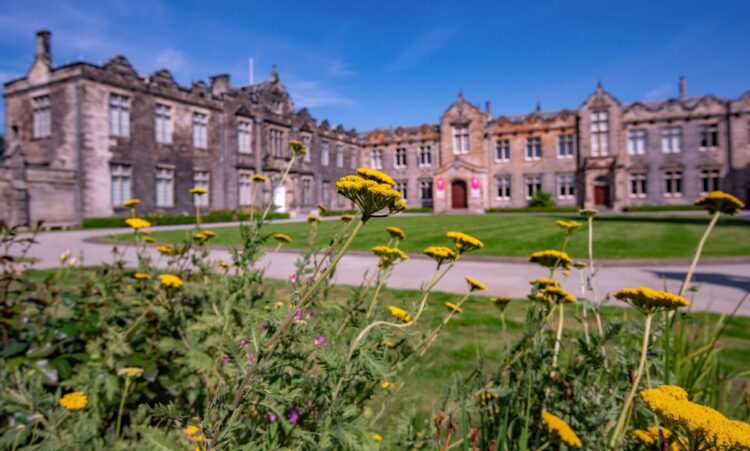 St Salvator's Quad through yellow flowers
