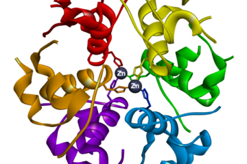 St Andrews and Dundee team to advance insulin research