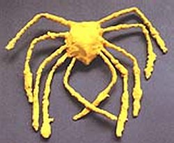 Jamie Morse, Class 6, St Leonard-New Park School - sculpture of a spider crab 